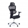 Chaise Ergonomique Ergocity FX, base en aluminium et maille TechSport
