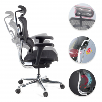 Chaise de direction ergonomique Ergohuman Edition I, Structure noir