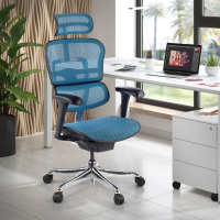 Chaise de direction ergonomique Ergohuman Edition I, Structure noire