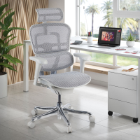Chaise de direction ergonomique Ergohuman Edition I, Structure blanche