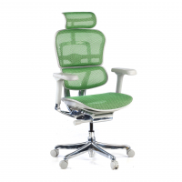 Blanc/Vert