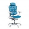 Chaise de direction ergonomique Ergohuman Elite, Structure blanche