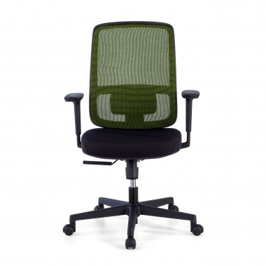 chaise de bureau vert structure noire maille accoudoirs reglables 1d soutien lombaire 3