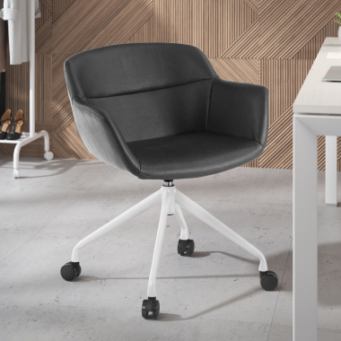 Usage professionnel et domestique
