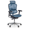 Chaise de direction ergonomique Ergohuman Elite, Structure noire
