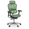 Chaise de direction ergonomique Ergohuman Elite, Structure blanche