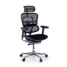 Chaise Ergonomique Ergohuman Elite, siège rembourré, structure noire