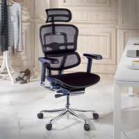 Chaise Ergonomique Ergohuman Elite, siège rembourré, structure noire
