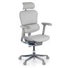 Chaise Ergonomique Ergohuman Elite, cuir naturel