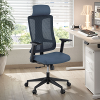 Chaise de Bureau...