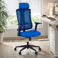 Chaise de Bureau Ergonomique Team2, Professionnelle, usage intensif