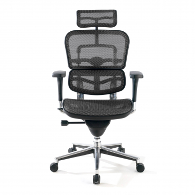 Chaise de bureau Ergohuman avec appui-tête, aluminium, maille 210663 - (Outlet)