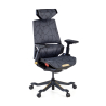 Chaise Gaming Ergonomique BloodDragon