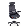 Chaise Gaming Ergonomique BloodDragon