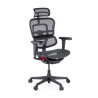 Chaise Ergohuman Ultra Gaming Edition Black Carbon