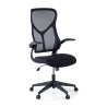 Chaise pour ordinateur Raptor, avec accoudoirs pliables et dossier ergonomique