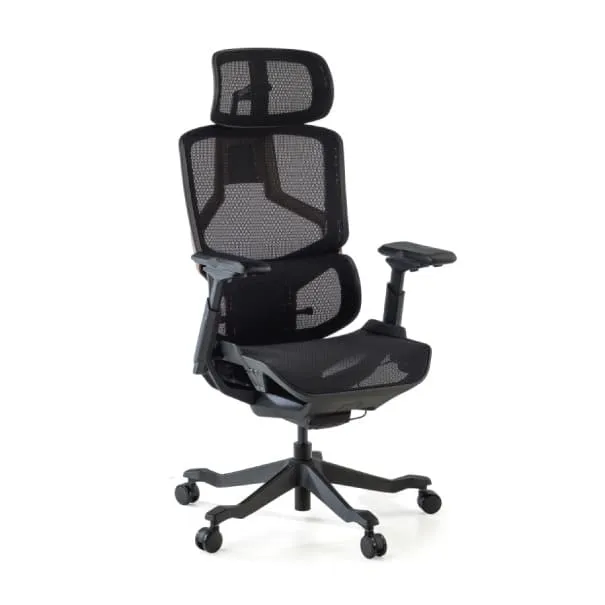 Chaises ergonomiques
